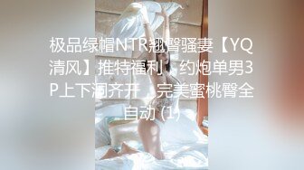 极品绿帽NTR翘臀骚妻【YQ清风】推特福利，约炮单男3P上下洞齐开，完美蜜桃臀全自动 (1)