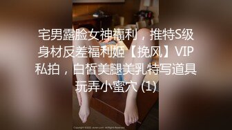 宅男露脸女神福利，推特S级身材反差福利姬【挽风】VIP私拍，白皙美腿美乳特写道具玩弄小蜜穴 (1)