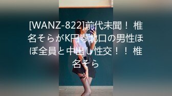 [WANZ-822]前代未聞！ 椎名そらがK円寺北口の男性ほぼ全員と中出し性交！！ 椎名そら