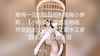 难得一见的极品粉鲍美胸小萝莉，【小班委】跟男友啪啪，开发的太少，小穴又紧水又多白浆把阴毛都弄湿