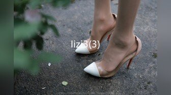 lizi3(3)