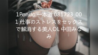 1Pondo 一本道 081723_001 仕事のストレスをセックスで解消する美人OL 中田みなみ