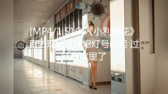 [MP4/1.51G]《小利探花》直击现场抓捕熄灯号响起 过年在牢里了