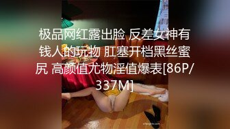 极品网红露出脸 反差女神有钱人的玩物 肛塞开档黑丝蜜尻 高颜值尤物淫值爆表[86P/337M]