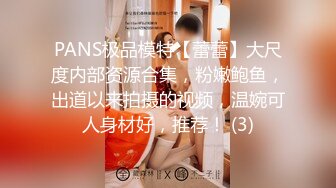 PANS极品模特【蕾蕾】大尺度内部资源合集，粉嫩鲍鱼，出道以来拍摄的视频，温婉可人身材好，推荐！ (3)