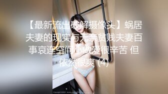 正在調教的人妻 澤村玲子 高瀨智香