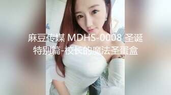 麻豆传媒 MDHS-0008 圣诞特别篇-校长的魔法圣蛋盒