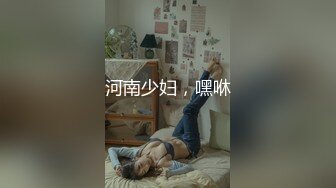 河南少妇，嘿咻