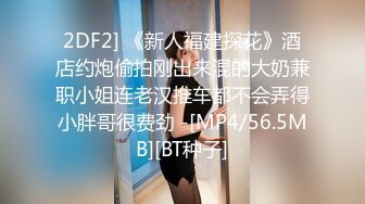 2DF2] 《新人福建探花》酒店约炮偷拍刚出来混的大奶兼职小姐连老汉推车都不会弄得小胖哥很费劲 -[MP4/56.5MB][BT种子]