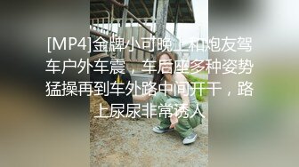 [MP4]金牌小可晚上和炮友驾车户外车震，车后座多种姿势猛操再到车外路中间开干，路上尿尿非常诱人