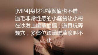 天台上的淫乱,冰块盒小受被大鸡吧攻爆射