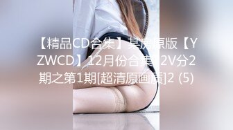 【精品CD合集】某房原版【YZWCD】12月份合集72V分2期之第1期[超清原画质]2 (5)