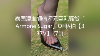 泰国混血颜值浑元巨乳骚货「Armone Sugar」OF私拍【337V】 (71)