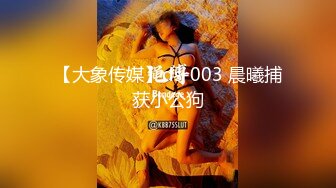 【大象传媒】ds-003 晨曦捕获小公狗